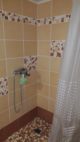 La salle de bains est pourvue d'une douche avec rideau de douche. dans l'établissement Tik Saviem, à Palanga