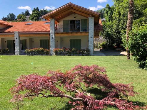 a house with a tree in the yard at House & Pool in Mergozzo