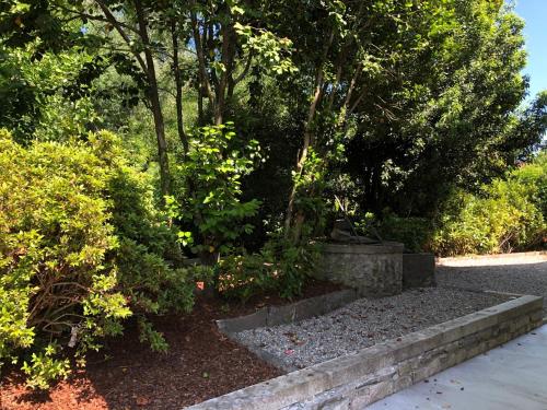a garden with some bushes and trees and a path at House & Pool in Mergozzo