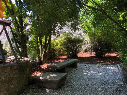 a stone bench sitting in a park with trees at House & Pool in Mergozzo
