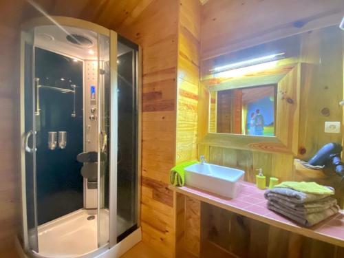 W łazience znajduje się umywalka i przeszklony prysznic. w obiekcie Maison d´hôtes La Dromandise w mieście Saint-Arcons-de-Barges