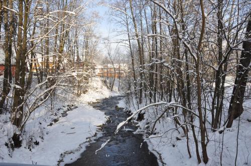 a snow covered path through a forest with trees at Lux Houses w DOMKU tylko DWA APARTAMENTYz jacuzzi zewnętrznym in Groń