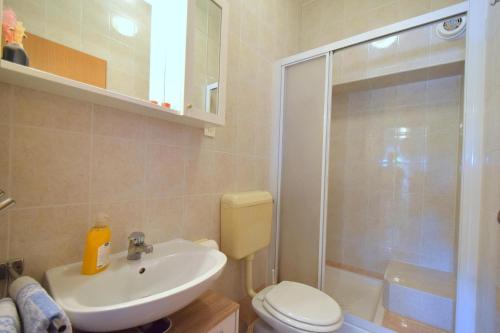 een badkamer met een toilet, een wastafel en een douche bij Apartments Tavcar in Malinska