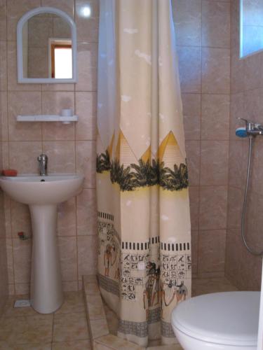 y baño con cortina de ducha y lavamanos. en Guest House u Timura, en Sudak