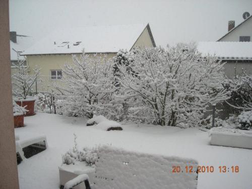 a snow covered yard with trees and a house at Gästehaus Becker in Wachenheim an der Weinstraße