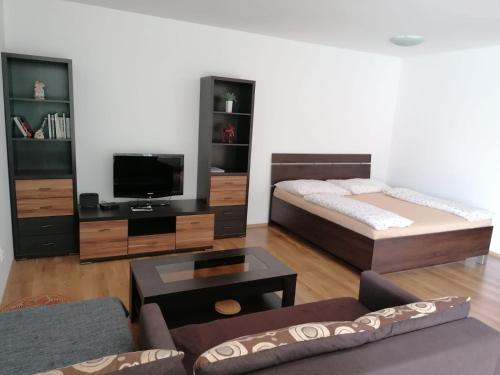 1 dormitorio con 1 cama, TV y sofá en Modern city center apartment with private parking, en Martin