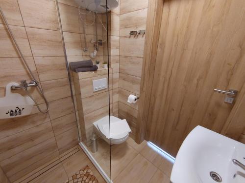 uma casa de banho com um WC e uma cabina de duche em vidro. em Ośrodek Wypoczynkowy IGOR nad Jeziorem Żywieckim em Żywiec