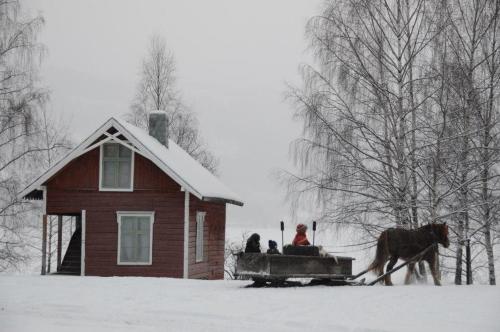 a man riding a horse drawn sleigh in front of a house at Fagernes Camping in Fagernes