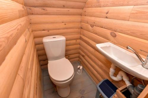 a small bathroom with a toilet and a sink at Vilkes Villa Ezero namas in Bertašiūnai