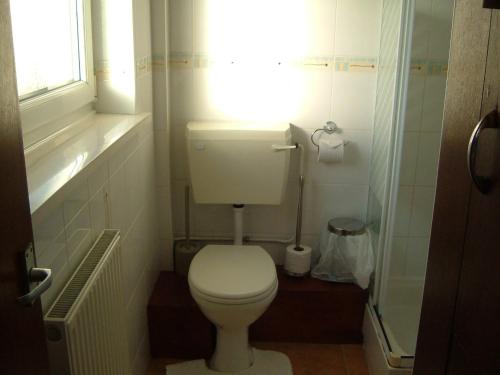 a small bathroom with a toilet and a window at Tremains Guest House in Bridgend