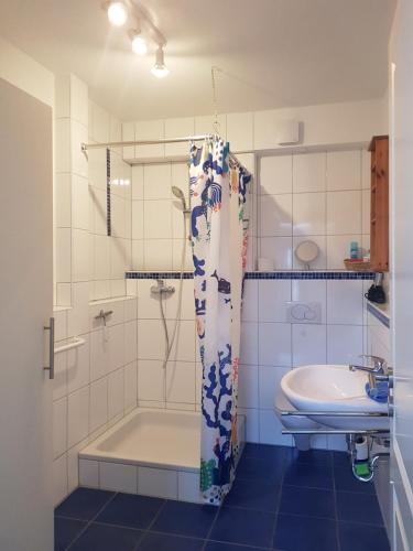 a bathroom with a shower and a tub and a sink at Ferienwohnung Kästle in Bad Bergzabern