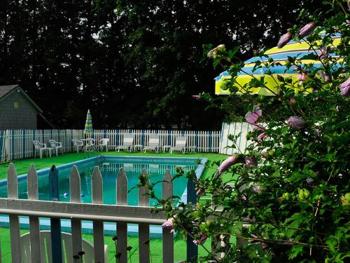 a swimming pool in a yard with a white fence at Willows Motel in Williamstown