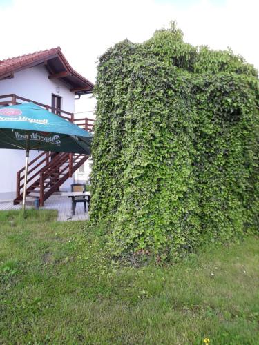 Κήπος έξω από το Penzion a restaurace U Strnada