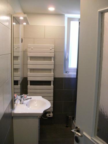 La salle de bains est pourvue d'un lavabo et d'un miroir. dans l'établissement Chez Léontine, à Vic-sur-Cère