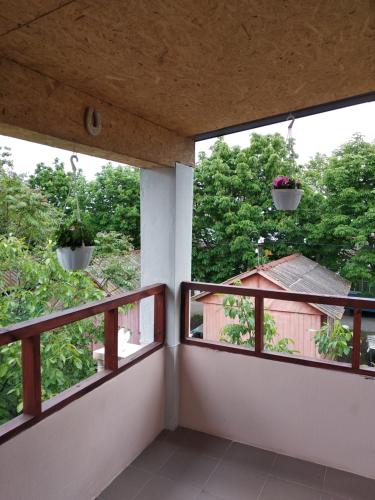a balcony with two windows and two potted plants at Вапнярка, Одесская область, жилье у моря in Vapnyarka