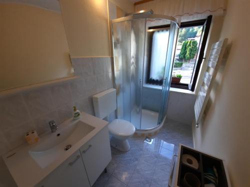 a bathroom with a shower and a sink and a toilet at Chalet and Apartment Žonir with SAUNA in Kobarid