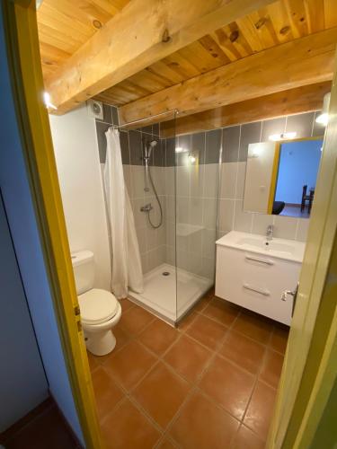 een badkamer met een douche, een toilet en een wastafel bij Appartements " Le Clos De La Cerisaie" in Castillon-du-Gard