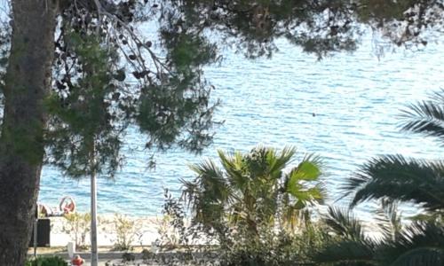 a view of a body of water with trees at Apartments Renco in Novalja