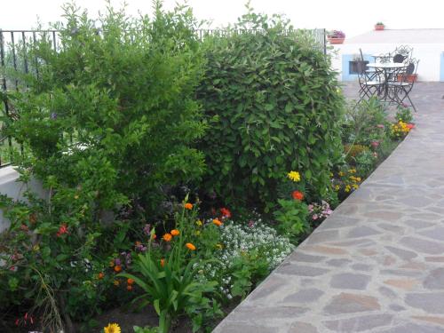 a garden with flowers and plants on a patio at Hotel Punta Barone in Santa Marina Salina