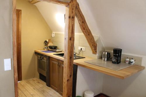 a kitchen with a sink and a counter top at Feriengut zum Trinkstorch in Leinsweiler