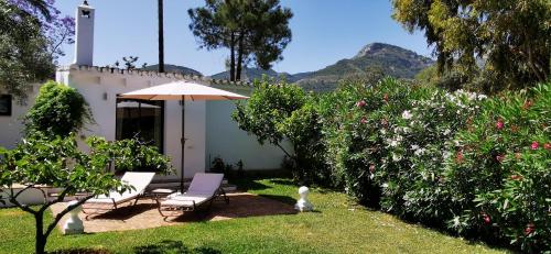a garden with two chairs and an umbrella and some bushes at Roca Verde, Boutique Bed & Breakfast - Adults only in Alhaurín de la Torre