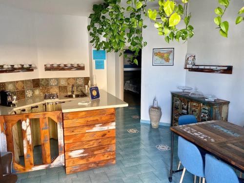 Η κουζίνα ή μικρή κουζίνα στο B&B Shining