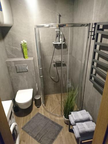 a bathroom with a shower with a toilet and a sink at Kalno Studijos in Juodkrantė