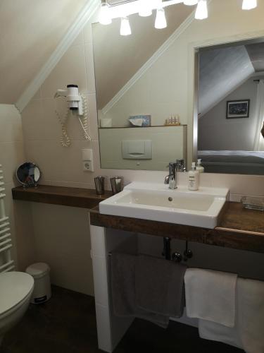 a bathroom with a sink and a mirror and a toilet at Haus Marvin in Döttingen