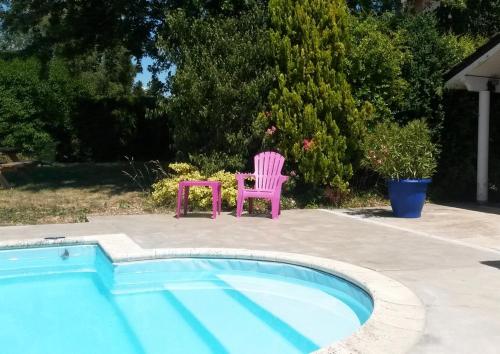 a pink chair sitting next to a small pool at Les Jardins du Golf in Metz