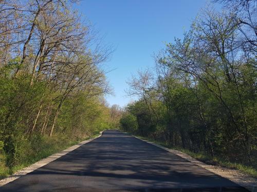 an empty road with trees on either side at VILA PEKEČ in Mala Moštanica