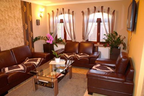 a living room with brown leather furniture and windows at Alba Regia Pansion Egri in Jahodná