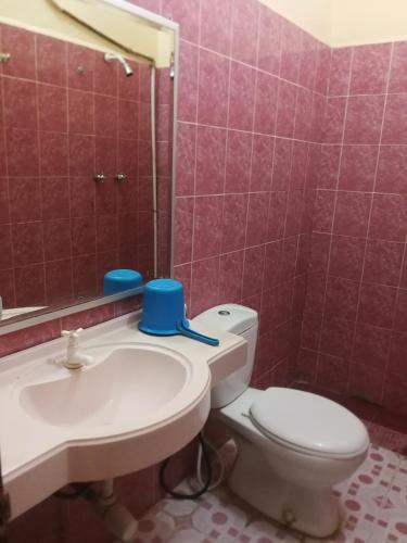 uma casa de banho com um WC, um lavatório e um espelho. em Hotel Mayang Sari 2 em Jambi