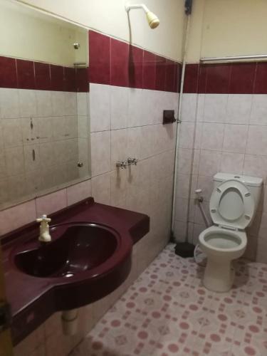uma casa de banho com um lavatório e um WC em Hotel Formosa Jambi em Palmerah