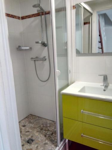 une salle de bain avec douche et lavabo dans l'établissement Residence Saint Thomas, à Hillion