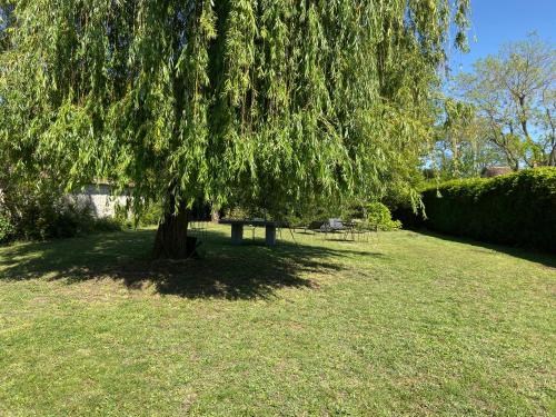 a tree in a field with a picnic table under it at Cocon en lisière de forêt in Bourron-Marlotte