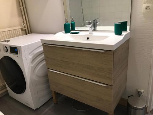 a bathroom with a washing machine and a sink at Cosylocation La Varende 10 in Rennes