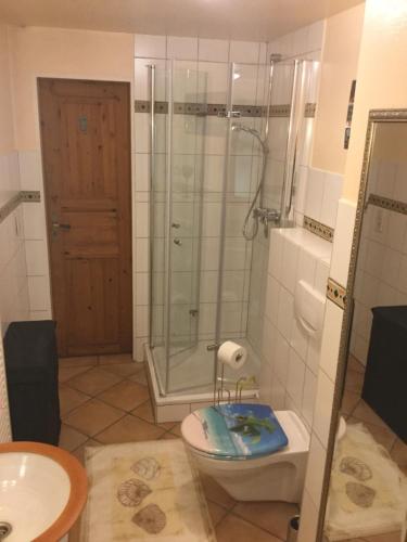 a bathroom with a shower and a toilet and a sink at Wohnidylle auf schönem Anwesen im Wald in Bad Honnef am Rhein