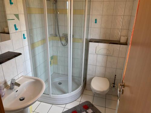 a bathroom with a shower and a toilet and a sink at Ferienhaus Elida in Krummin