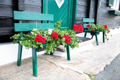 a row of green benches with red flowers in them at Ferienhaus Stoiser in Sankt Stefan ob Stainz