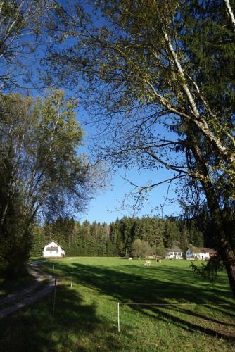 a grassy field with trees and a house in the distance at Baumzelt am Waldesrand in Regen