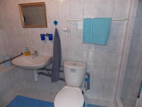 a bathroom with a white toilet and a sink at Ubytovani U Švýcarů in Turnov