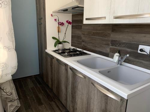 une cuisine avec un évier et une cuisinière dans l'établissement Alla corte dei Caretto, à Neive