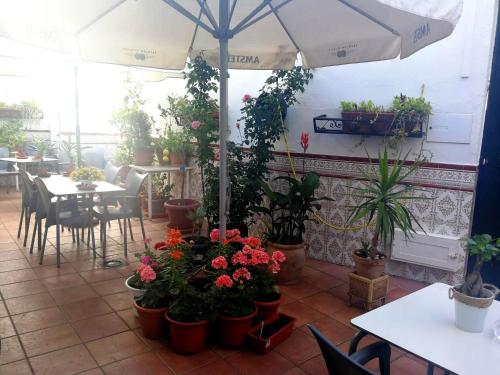 a patio with potted plants and tables and an umbrella at Hostal Restaurante Ego's in Campo de Criptana