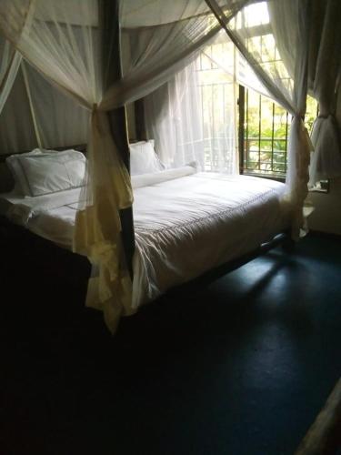 SUNBRIGHT HOTELS LTD – Fotos 3