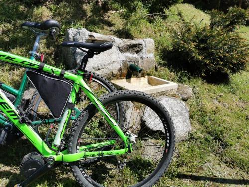 a green bike parked next to a stone wall at POHORJE HOUSE 2 FOUR APPARTMETNS in Oplotnica