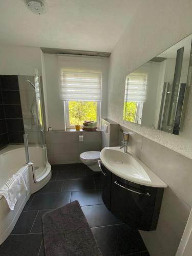 a bathroom with a sink and a toilet and a mirror at Ferienwohnung Zum Saaletalblick in Naumburg