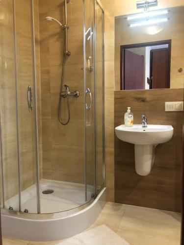 Kúpeľňa v ubytovaní Hotel Sekwana