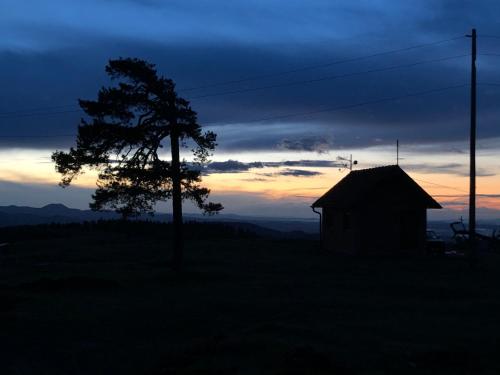 a tree and a shed in a field with a sunset at Vikendica Stojanović in Mionica