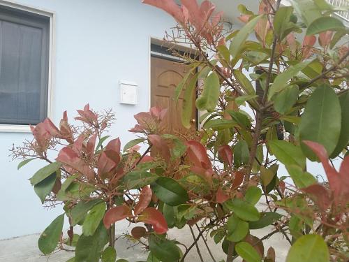 Gambar di galeri bagi Rosa dei Venti house di Campomarino