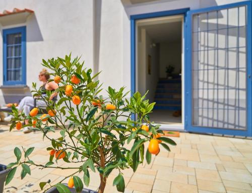 an orange tree in front of a house at Maiori Dream House 1 in Maiori